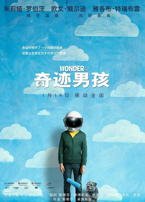 七台河办理证件